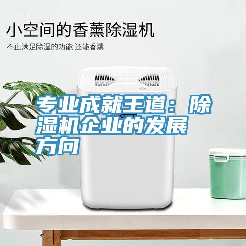 專業(yè)成就王道：除濕機企業(yè)的發(fā)展方向