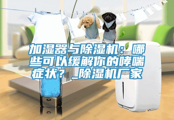 加濕器與除濕機：哪些可以緩解你的哮喘癥狀？_除濕機廠家