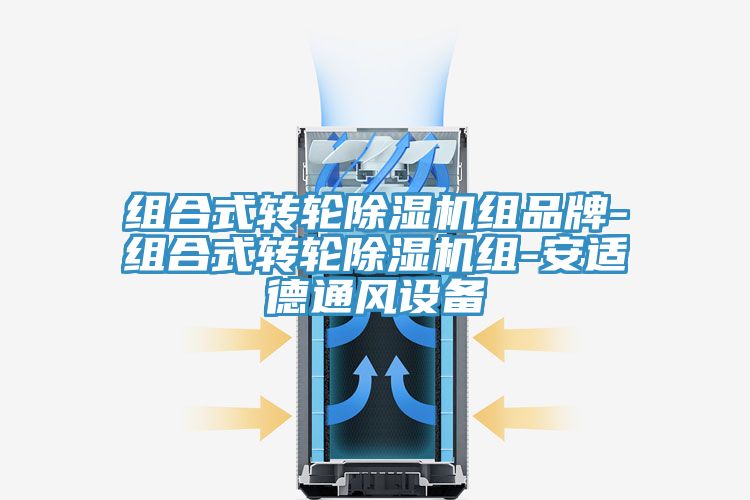 組合式轉輪除濕機組品牌-組合式轉輪除濕機組-安適德通風設備