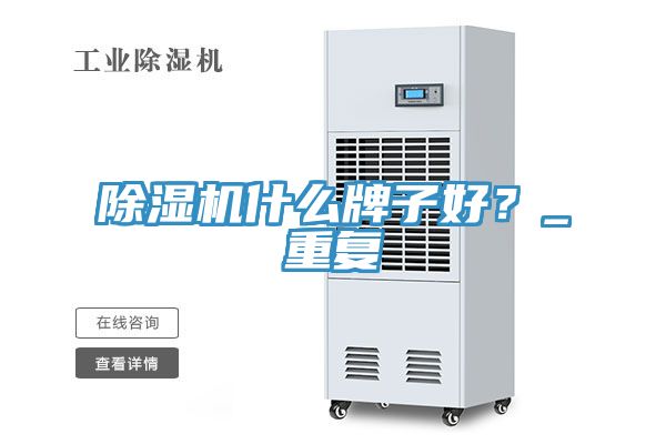 除濕機什么牌子好？_重復