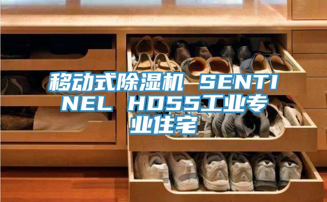 移動(dòng)式除濕機(jī) SENTINEL HD55工業(yè)專(zhuān)業(yè)住宅