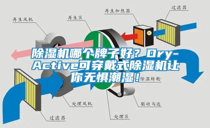 除濕機(jī)哪個牌子好？Dry-Active可穿戴式除濕機(jī)讓你無懼潮濕！