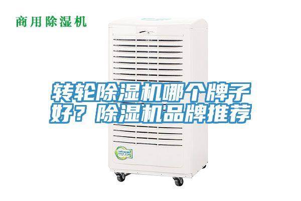 轉輪除濕機哪個牌子好？除濕機品牌推薦