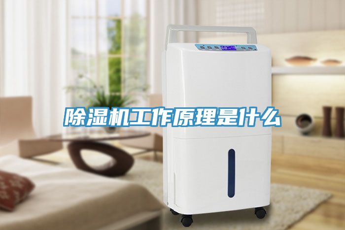 除濕機工作原理是什么