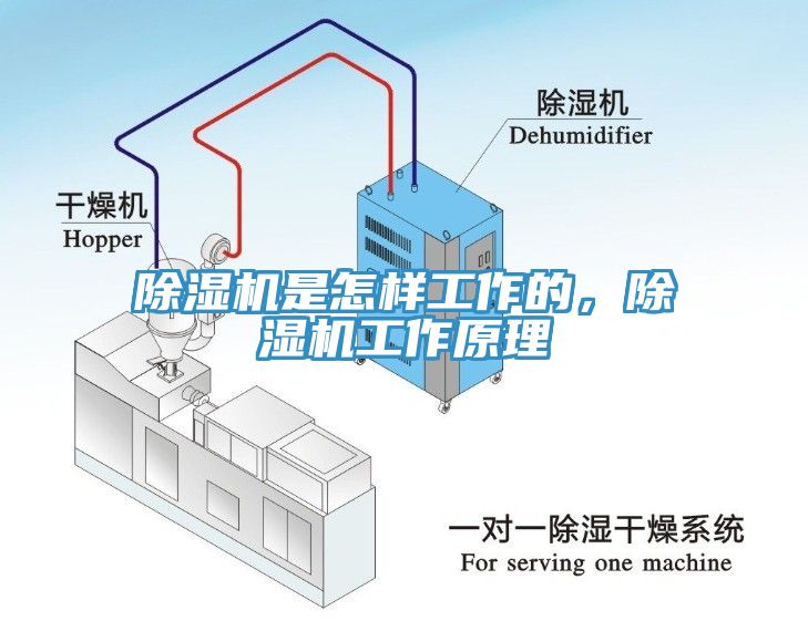 除濕機是怎樣工作的，除濕機工作原理