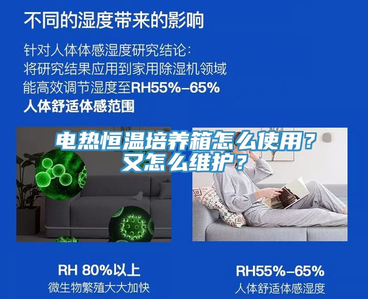 電熱恒溫培養箱怎么使用？又怎么維護？