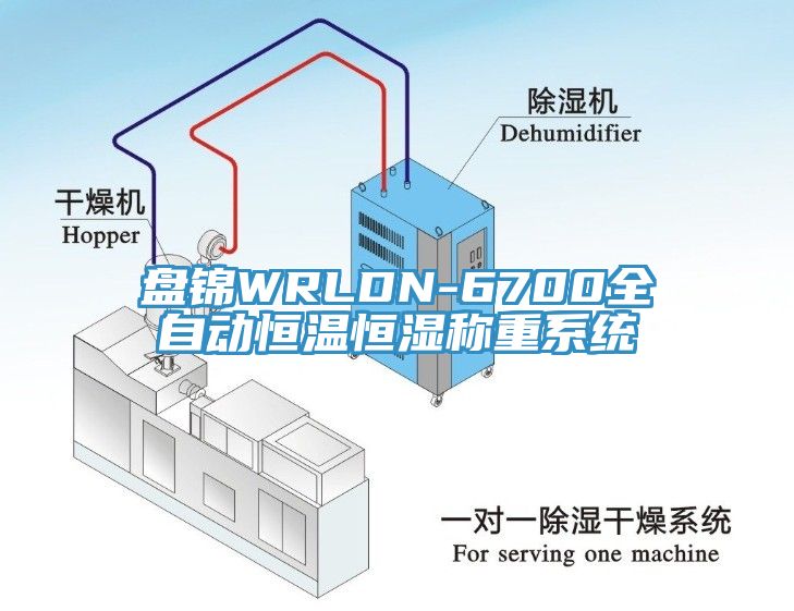 盤錦WRLDN-6700全自動恒溫恒濕稱重系統